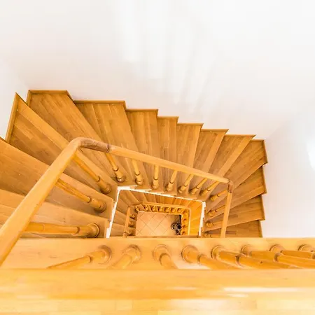 Domenii *